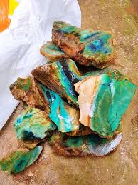 Blue Opalized Wood Journal Jewelry Nature Photography Artistic Jewelry