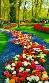 Beautiful flower garden, flower forest cool wallpapers. Visiting The Outdoors Garden Beautiful Flowers Garden Most Beautiful Gardens Beautiful Gardens