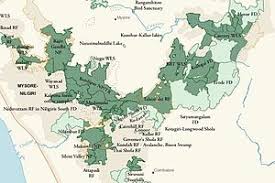 Wayanad Wildlife Sanctuary Wikipedia Wayanad wildlife sanctuary, popularly known as the muthanga wildlife sanctuary, is an animal sanctuary in the wayanad district of kerala in india. wayanad wildlife sanctuary wikipedia