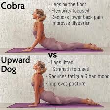 Cobra Vs Upward Dog Which Do You Prefer Cobra Pos Easy Yoga Workouts Yoga Fitness Yoga Asanas