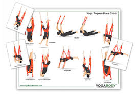 Yoga Trapeze Setup Pose Chart Instructions Yoga Inversions Yoga Trapeze Poses Yoga Trapeze
