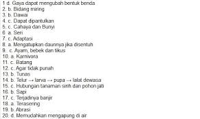 Soal Try Out Ipa Kelas 6 Di 2020 Ipa Fotosintesis Kesejahteraan Hewan