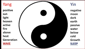 Pin On Mind Body Spirit