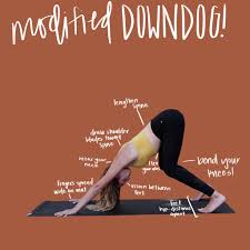 Modified Down Dog Downward Dog Downward Dog Yoga Pose Downward Dog Yoga