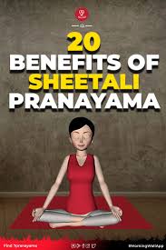 20 Benefits Of Sheetali Pranayama Pranayama Hath Yoga Yoga Asanas