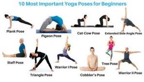 If You Are A Beginner And Want To Learn About Yoga Poses For Beginners Then You Are At Right Yoga Poses For Beginners Easy Yoga Poses Beginner Yoga Poses Chart