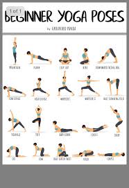Pin By Kami Jensen On Yoga Basic Yoga Poses Easy Yoga Workouts Yoga Workout Routine