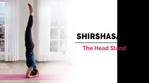 Sirsasana Head Stand Yoga Pose Steps Benefits Yogic Fitness Youtube