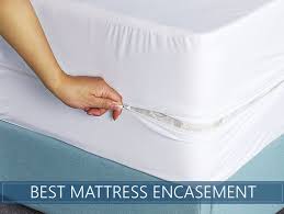 Best Mattress Encasements For Bed Bugs 2021 Update Mattress Encasement Bed Bugs Mattress Encasements