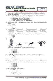 Download Soal Tematik Kelas 5 Tema 5 Ekosistem Semester 1 Edisi 2017 Tempat Download Soal Ujian Ekosistem Matematika Kelas 5 Kelas Enam