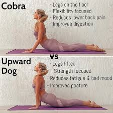 Cobra Vs Upward Dog Which Do You Prefer Cobra Pose Legs And Pelvis Stayed Rested On The Floor Easy Yoga Workouts Yoga Fitness Yoga Asanas