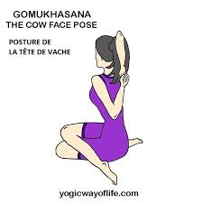 Epingle Sur Bien Etre