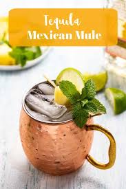 A Moscow Mule With A Little Kick Tequila Ginger Beer Combine In This Easy Twist On The Moscow Mule Sweet Spicy Mule Recipe Moscow Mule Recipe Ginger Beer