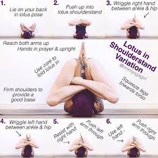 Yoga Lotus Shoulder Stand In 2021 Yoga Poses Advanced Advanced Yoga Yoga Asanas