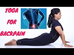 Pin On Exercise