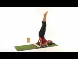 Pin By Jill Reeves On Happy Now Yoga Yoga Poses Shoulder Stand Yoga Times