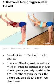 Downward Facing Dog Pose Near The Wall Downward Facing Dog Pectoral Muscles Dog Poses