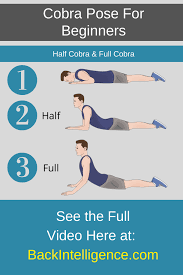 Pin On Low Back Pain Exercises