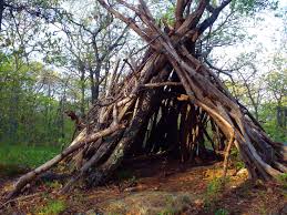 Tipi 1 Pictures Of Arlington Outdoor Forts Backyard Playground Backyard