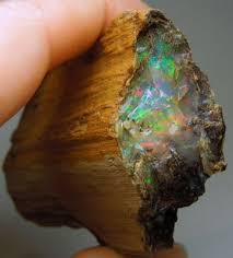 Opalized Wood From Nevada Yummy Minerals And Gemstones Crystals And Gemstones Rocks And Minerals