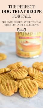 Diy Dog Treats Pumpkin Sweet Potato Bites Proud Dog Mom Recipe Dog Biscuit Recipes Gluten Free Dog Treat Recipes Gluten Free Dog Treats