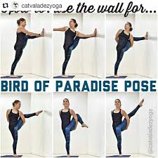 Svarga Dvijasana Paradise Twice Born Pose Or Bird Of Paradise Pose On The Wall On Yogaalignment Birdofparadise Wi Yogaovningar Traning Avslappning