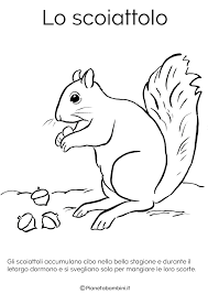 Disegni Di Animali Che Vanno In Letargo Da Colorare Disegnare Animali Animali Disegni Di Uccelli