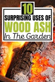 10 Surprising Uses Of Wood Ash In The Garden Slick Garden Uses Of Wood Benefits Of Gardening Plant Benefits