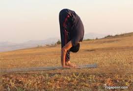 Sunsalutation Sun Salutation Surya Namaskar Yoga Exercise Surya Namaskar Yoga Yoga Fitness