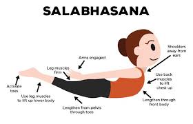 How To Do The Salabhasana And What Are Its Benefits Bikram Yoga Yoga Breathing Bikram Yoga Poses