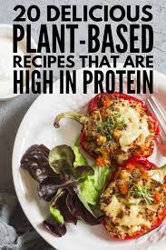 Plant Based Protein 20 High Protein Vegetarian Meals To Indulge In High Protein Vegetarian Recipes Vegetarian High Protein Vegetarian Recipes Easy