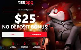 Red Dog Casino No Deposit Bonus Coupon Codes Feb 2021