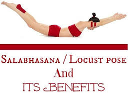 How To Do The Salabhasana And What Are Its Benefits Backbend Yoga Poses Backbend Poses Yoga Backbend