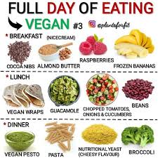 Pin On Vegan
