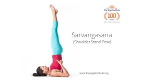 How To Do Sarvangasana Check Steps Precautions Benefits Yoga Institute Wellness Fitness Yoga Fitness