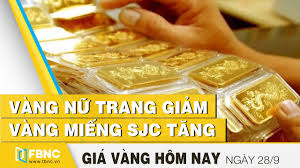 Gia Vang Hom Nay 28 9 Gia Vang Sjc Ngay Hom Nay Fbnc Youtube