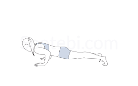 Low Plank Pose Chaturanga Dandasana Plank Pose Yoga Plank Pose Poses