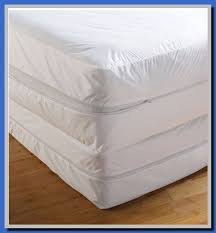 80 Reference Of Purple Mattress Protector Bed Bugs In 2020 Mattress Covers Mattress Mattress Encasement