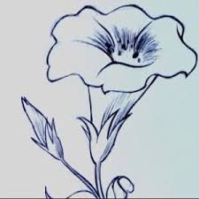 Disegni A Matita Facili Cerca Con Google Disegno Di Fiori Fiori Disegnati A Matita Disegno Fiori