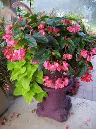 This Garden Cooks Back To Basics Design A Great Container Container Gardening Container Plants Garden Containers