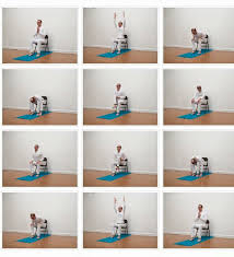 Chair Sun Salutation Http Www Accessibleyoga Org 1 Post 2016 04 Chair Sun Salutations With Jivana Heyman Html Chair Yoga Chair Pose Yoga Wall Yoga