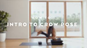 How To Intro To Crow Pose With Andrew Sealy Crow Pose Excercise Intro