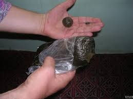 Hashish In The Himalayas Hash Oils Creams Strain Hunters Forum