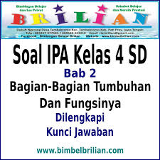 Soal Ipa Kelas 4 Sd Bab 2 Bagian Bagian Tumbuhan Dan Fungsinya Dan Kunci Jawaban Bimbel Brilian