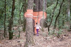 Muntanyes De Prades En Familia Lugares De Espana Viajes Paisajes