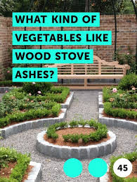 Learn What Kind Of Vegetables Like Wood Stove Ashes How To Guides Tips And Tricks Growing An Avocado Tree Plants Grow Avocado