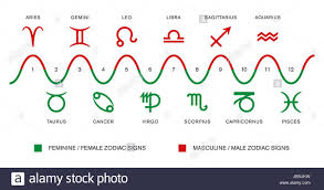 The Polarity Of The Zodiac Signs Masculine Male And Feminine Female Zodiac Signs In Astrology Red And Green Symbo Zodiac Signs Gemini Zodiac Zodiac Signs