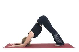 Yoga For Carpal Tunnel Syndrome Dolphin Pose Yoga Poses Carpal Tunnel Syndrome