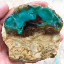 Slab Petrified Wood Indonesian Blue Opalized Petrified Wood Journal Jewelry Food