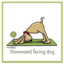Downward Facing Dog Yoga Stickers Dog Yoga Animal Reiki